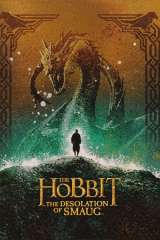 The Hobbit: The Desolation of Smaug poster 4