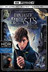 Fantastic Beasts and Where to Find Them poster 18