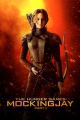 The Hunger Games: Mockingjay - Part 1 poster 5