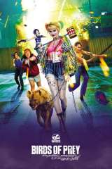 Birds of Prey (and the Fantabulous Emancipation of One Harley Quinn) poster 3