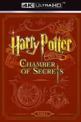 Harry Potter and the Chamber of Secrets poster 6