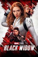 Black Widow poster 3