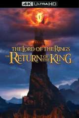 The Lord of the Rings: The Return of the King poster 2