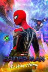 Spider-Man: No Way Home poster 17