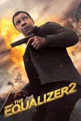 The Equalizer 2 poster 41