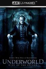 Underworld: Rise of the Lycans poster 4