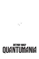 Ant-Man and the Wasp: Quantumania poster 23