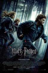 Harry Potter and the Deathly Hallows: Part 1 poster 4