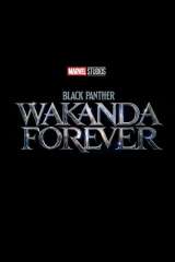Black Panther: Wakanda Forever poster 42