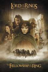 The Lord of the Rings: The Fellowship of the Ring poster 15