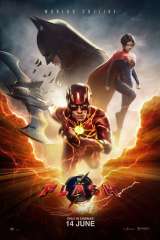 The Flash poster 52