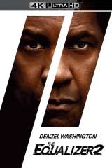 The Equalizer 2 poster 11