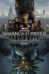 Black Panther: Wakanda Forever poster 29