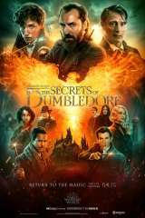Fantastic Beasts: The Secrets of Dumbledore poster 6