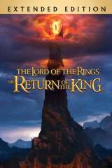 The Lord of the Rings: The Return of the King poster 5
