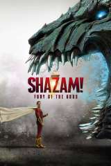 Shazam! Fury of the Gods poster 8