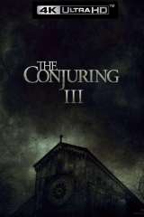 The Conjuring: The Devil Made Me Do It poster 11