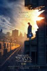 Fantastic Beasts and Where to Find Them poster 12