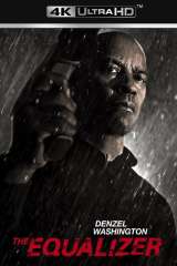The Equalizer poster 15
