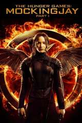 The Hunger Games: Mockingjay - Part 1 poster 3