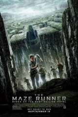 The Maze Runner poster 2