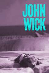 John Wick poster 2