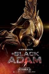 Black Adam poster 25
