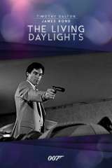 The Living Daylights poster 13