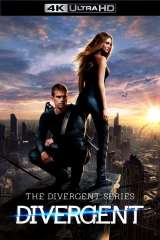 Divergent poster 4
