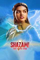 Shazam! Fury of the Gods poster 11