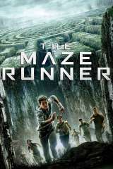The Maze Runner poster 4