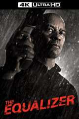 The Equalizer poster 14