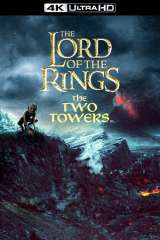 The Lord of the Rings: The Two Towers poster 6