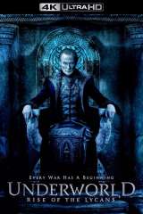 Underworld: Rise of the Lycans poster 2