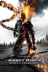 Ghost Rider: Spirit of Vengeance poster 2