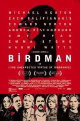 Birdman poster 3