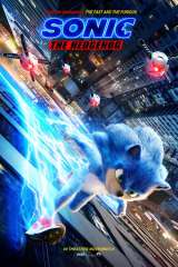 Sonic the Hedgehog poster 21