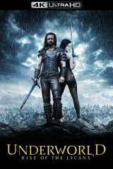 Underworld: Rise of the Lycans poster 7