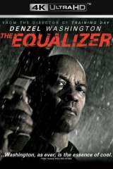 The Equalizer poster 16