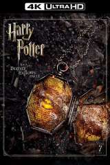 Harry Potter and the Deathly Hallows: Part 1 poster 5