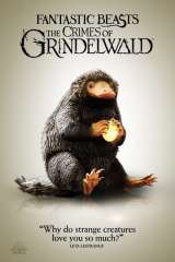 Fantastic Beasts: The Crimes of Grindelwald poster 37