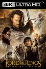 The Lord of the Rings: The Return of the King poster 4