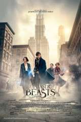 Fantastic Beasts and Where to Find Them poster 8