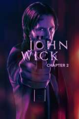 John Wick: Chapter 2 poster 6