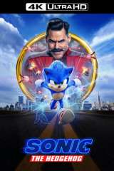 Sonic the Hedgehog poster 11