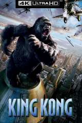King Kong poster 13