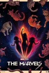 The Marvels poster 28