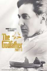 The Godfather: Part II poster 2