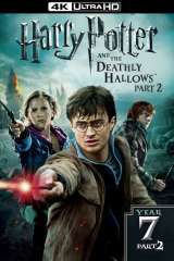 Harry Potter and the Deathly Hallows: Part 2 poster 3