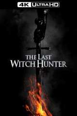 The Last Witch Hunter poster 4